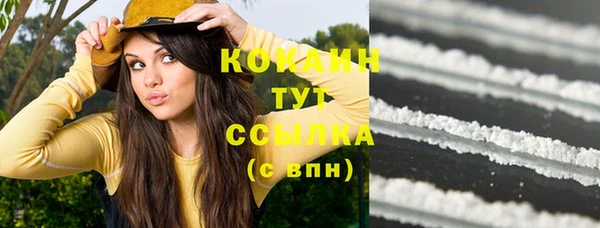 прущие грибы Армянск