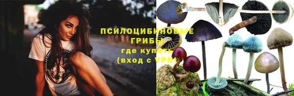 прущие грибы Армянск