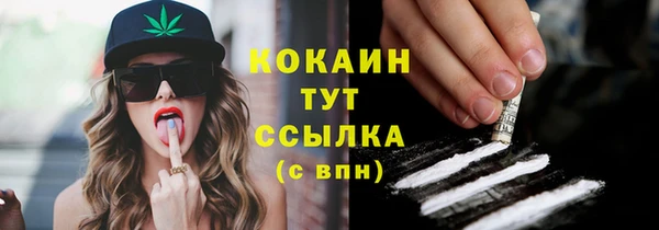 прущие грибы Армянск