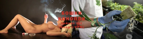 прущие грибы Армянск