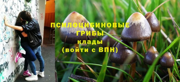 таблы Аркадак