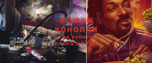 прущие грибы Армянск