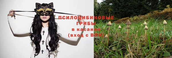 не бодяженный Арсеньев