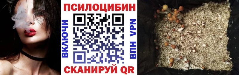 наркошоп  Лакинск  Галлюциногенные грибы Cubensis 